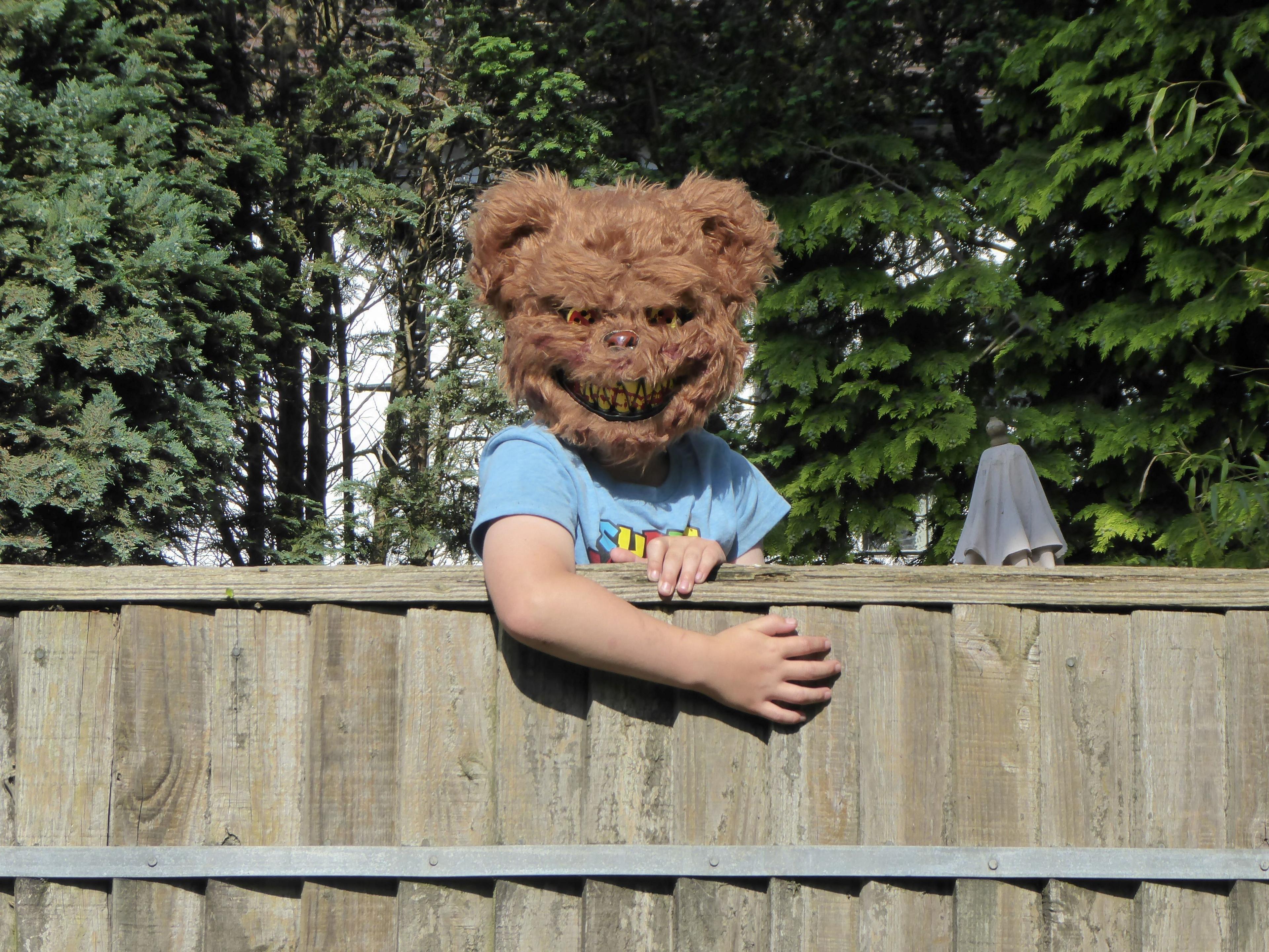 A child wearing a bear masks looks over a garden fence