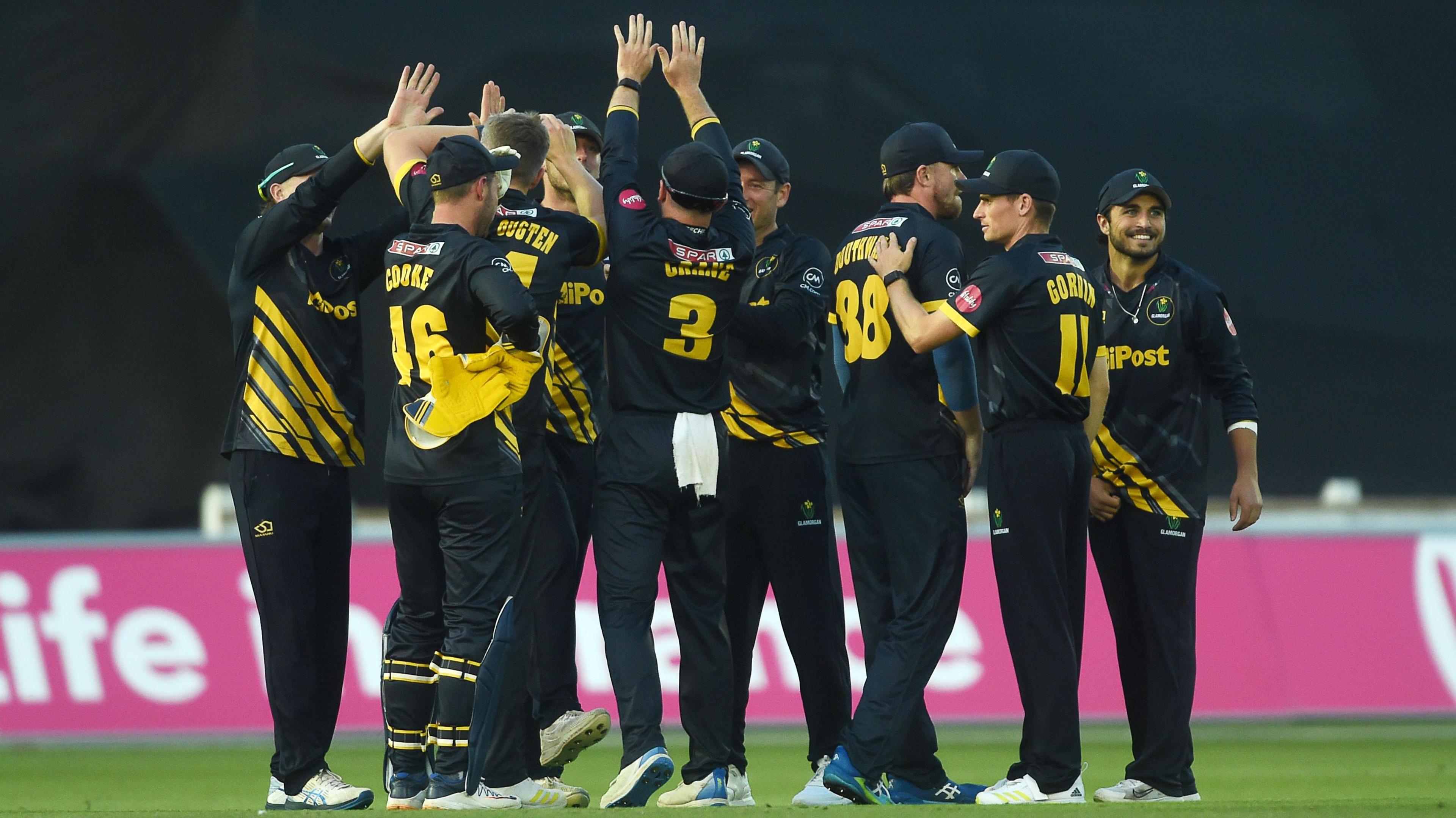 Glamorgan's men celebrate during a Vitality Blast South group game last season