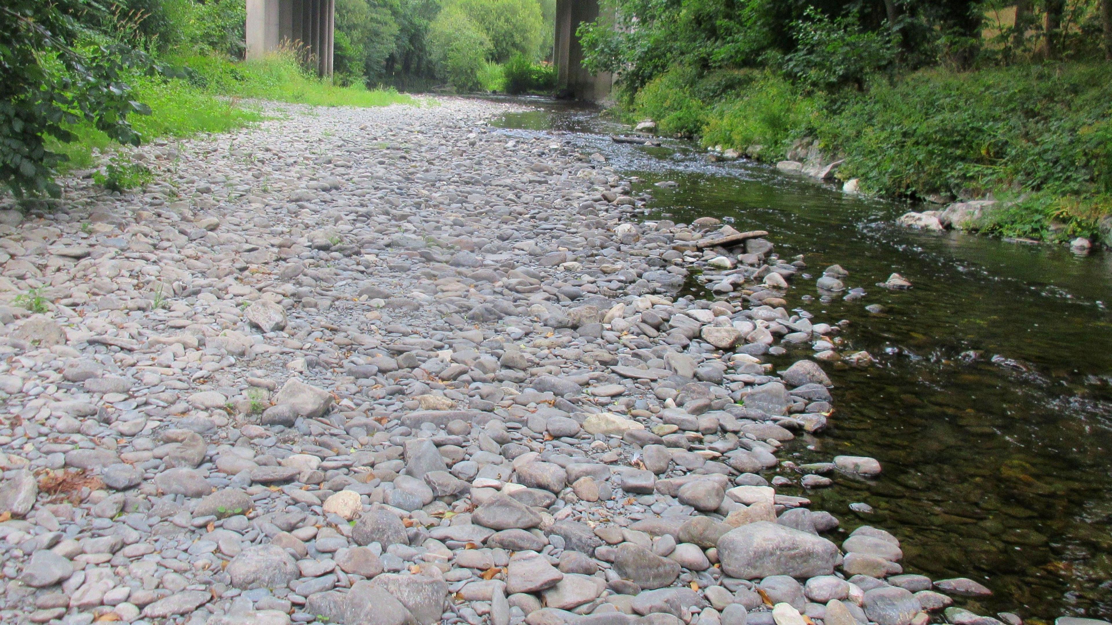 Afon Elwy