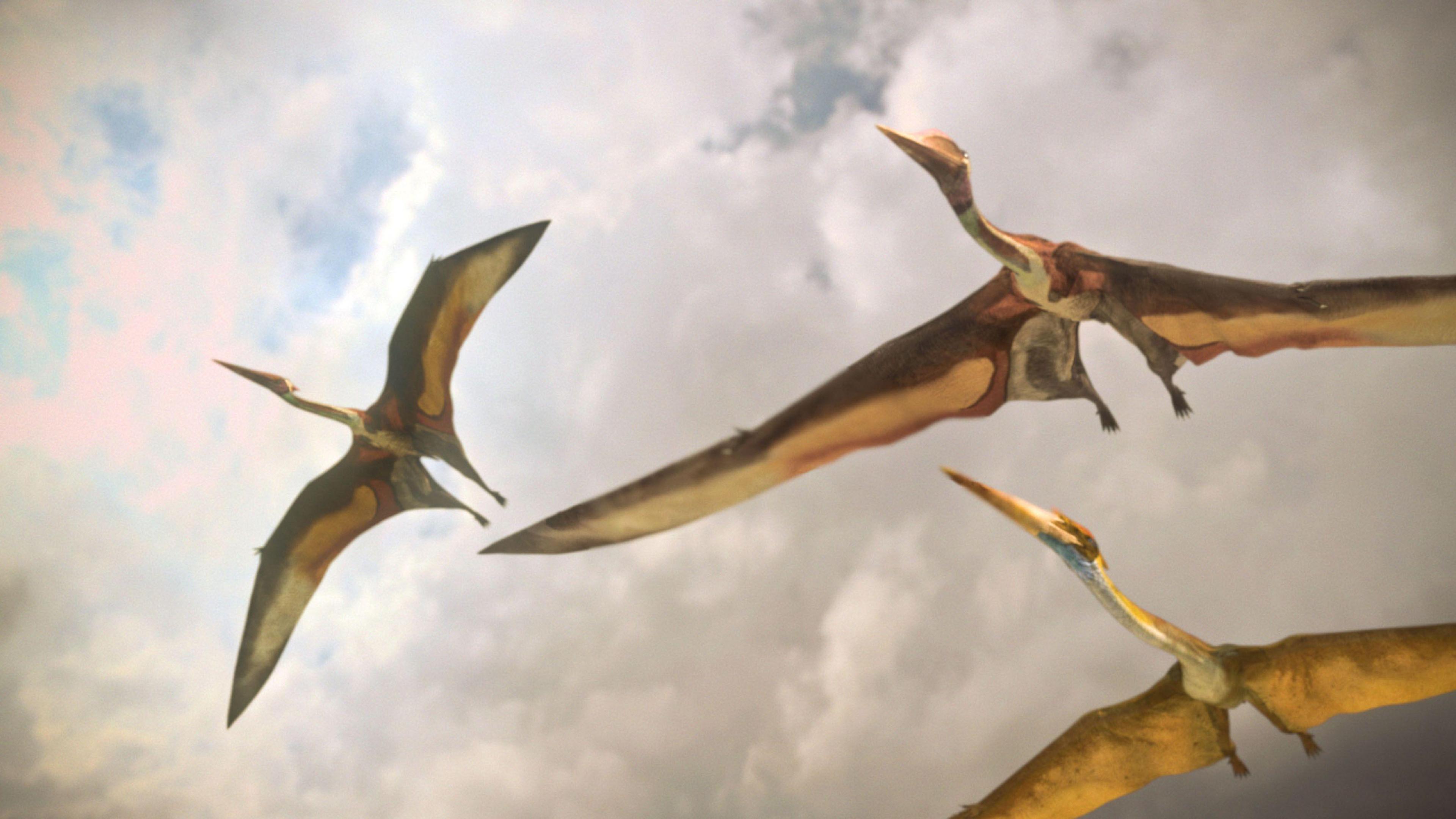 A computer generated image showing three flying reptiles in mid air below the clouds