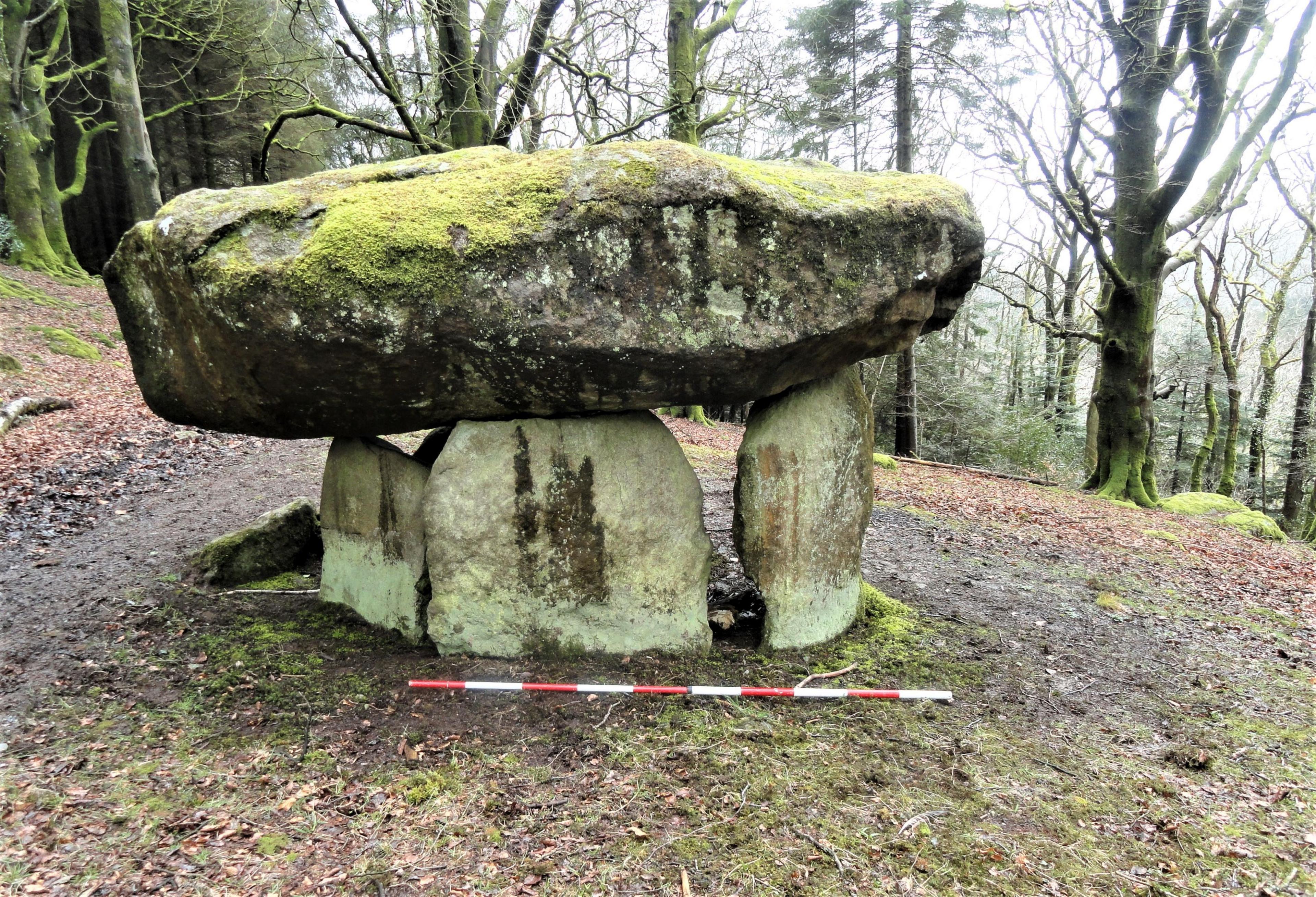 A large moss covered capstone supported by 4 uprights. Situated on a steep wooded ridge, the tomb would once have been covered by an oval or circular mound.