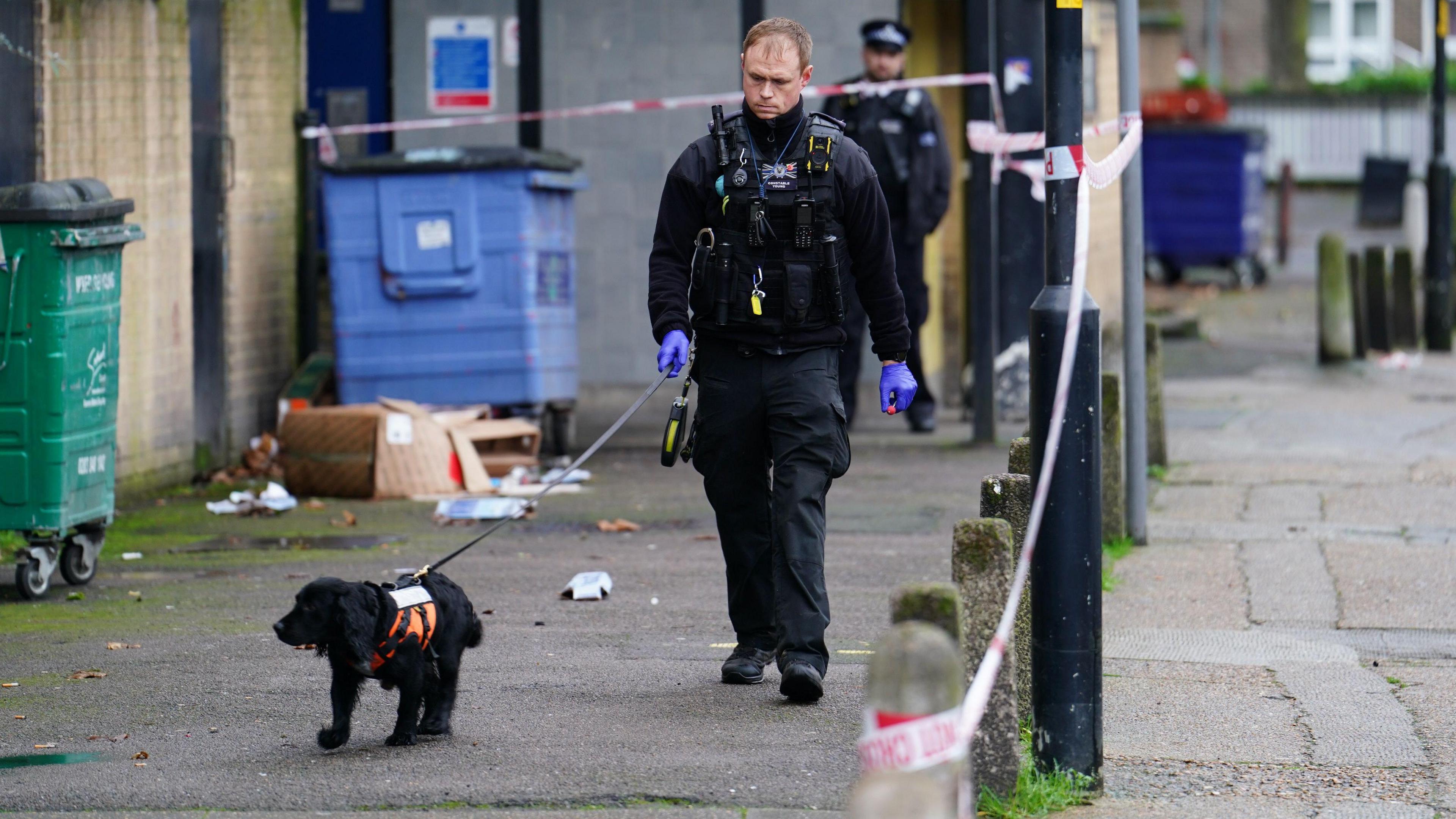 A police sniffer dog works at the scene outside Spenlow House in Jamaica Road, Bermondsey, south east London, where a 22-year-old woman died from a stab injury on Christmas Eve.