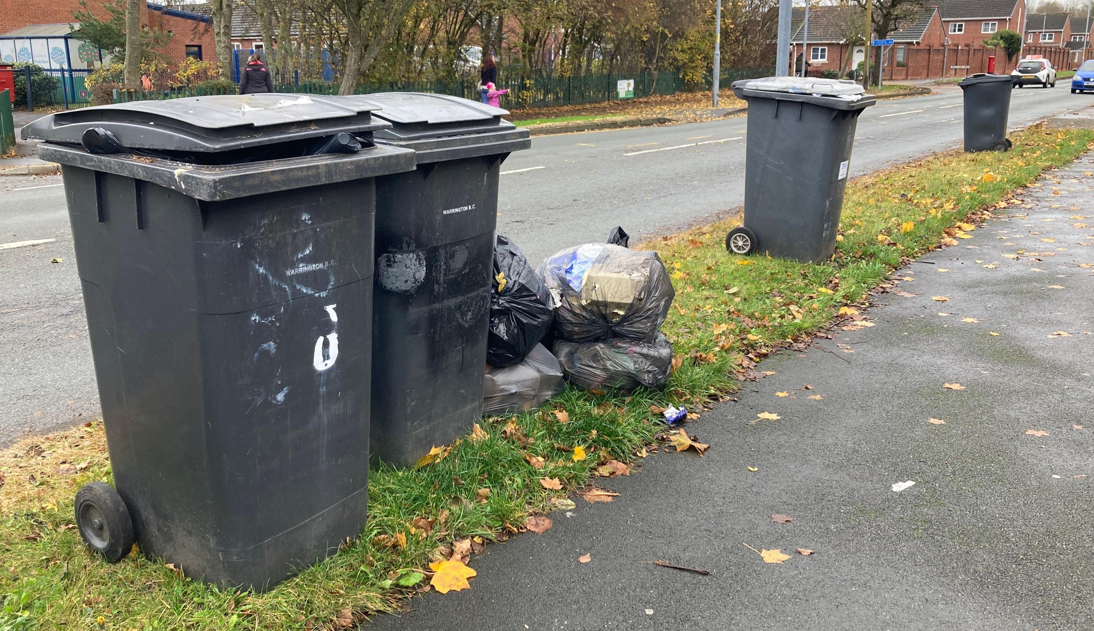 two wheelie bins