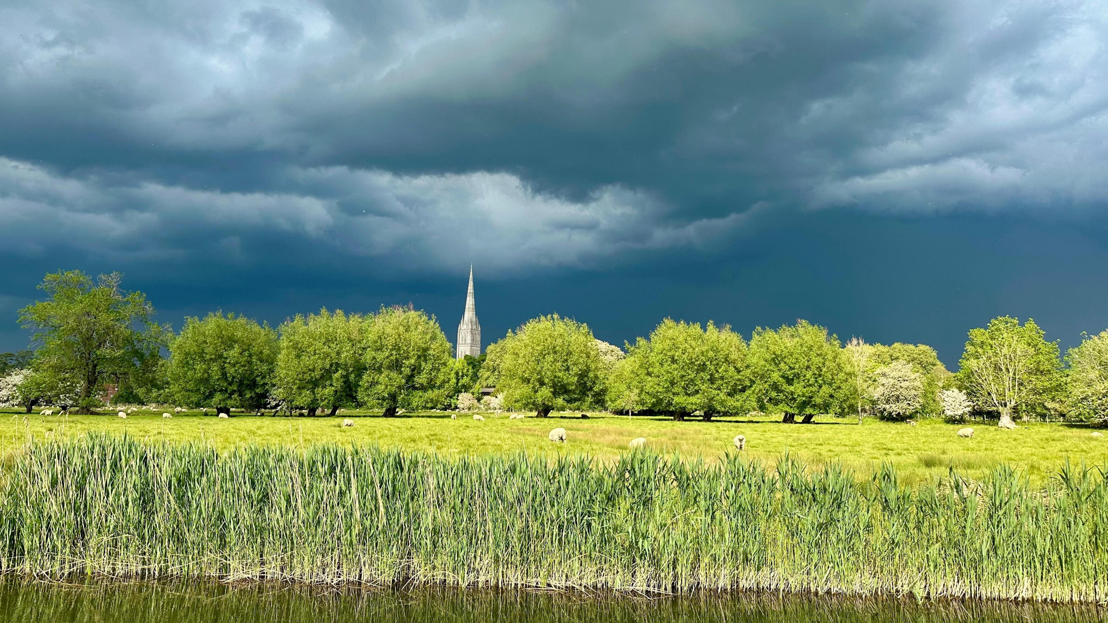 River in front, with reeds on the side, a green ,meadow and trees behind with a flock of grazing sheep. Sun bounces off the green with the cathedral spire in the distance. However, the clouds overhead are a deep grey.