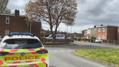 A police car is parked outside properties in Willis Pearson Avenue. A grass verge can be seen on the right with apartments/small blocks of flats visible off to the right and left of the image. A large stands outside one block.