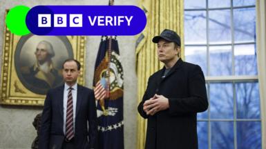 Elon Musk stands in the Oval Office. He is wearing a dark coat and baseball cap. An official stands behind him and a flag bearing the seal of the president is also seen. The BBC Verify logo is in the top left corner. 