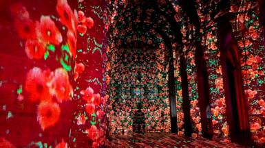 The inside of a cathedral covered by projections of red poppies.