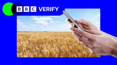 A field of wheat with an image of hands holding a mobile phone