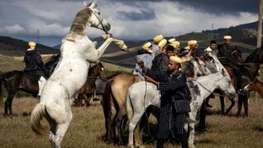 A rider from the Beni Arous tribe interacts with his horse during the traditional equestrian game and performance 'Mata', near the village of Znied in Morocco's Larache province on May 17, 2024.