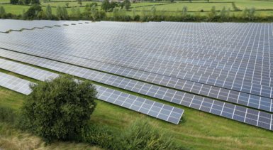 A field of solar panels in Somerset seen from the air with a hedgerow in the background