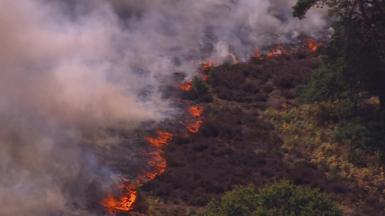 Fire on heath