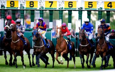 Horses set off in a race at Hamilton Park Racecourse.