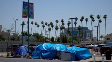 Blue tarps drape over a series of tents on a sidewalk in Los Angeles. A row of palm trees can be seen in the background. 