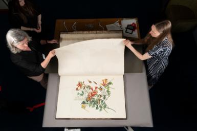 Claire McDade, Heritage Lead, and Clare Harrison, Library and Heritage Manager, turning the page of Audubon book.