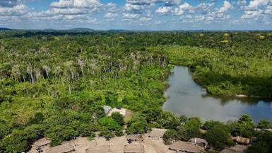 An aerial view of lush green trees and a windy river winding through it, in the indigenous village of Pykany on the banks of Brazil's Xixe River in the Menkragnoti Indigenous Territory, south-western Pará State, in May.