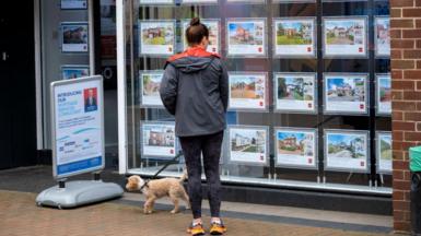 Woman looking in estate agents' window