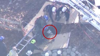 A dog is seen being rescued from firefighters after falling into a hole.