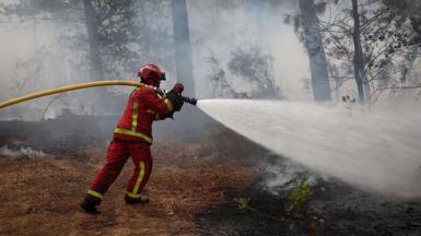 A firefighter of Paris Fire Brigade sprays water on hotspots in Marcheprime west of Bordeaux on July 26, 2026 as a wildfire has been ravaging the forest north of the Arcachon Basin (Gironde) since July 22. The fire that has engulfed the area around the Arcachon Basin and is now threatening the outskirts of the Bordeaux metropolitan area has destroyed 42,000 hectares of "burned area," the Gironde prefecture announced; the prefecture has evacuated a total of 220,000 people since July 22. 