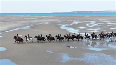 A drone shot of dozens of cavalry horses in a line formation walking along the sand with the sea in the distance on Hayling Island beach
