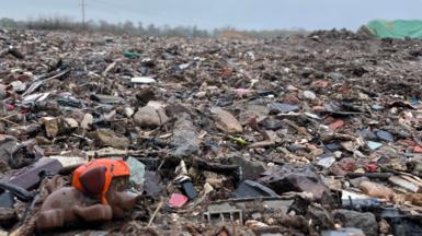 A small plastic toy dog sits on the edge of a vast waste dump, a mound of mixed rubbish which disappears into the distance where the horizon is lined with trees