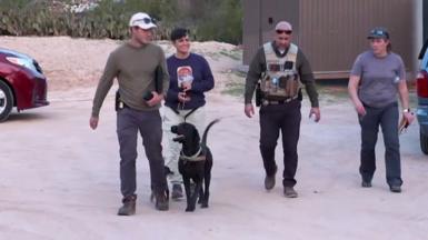 A group of four people walk with a black sniffer dog on a lead outdoors in Tuscon.
