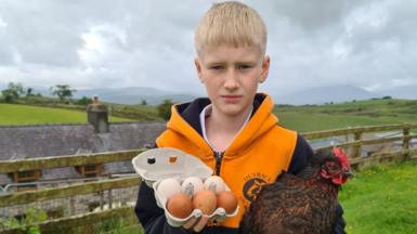 Mae Celt yn siomedig eu bod wedi rhoi'r gorau i'w stondin wyau oherwydd lladron