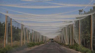 Anti-drone nets hang over a quiet rural road in the Ukrainian region of Donetsk.