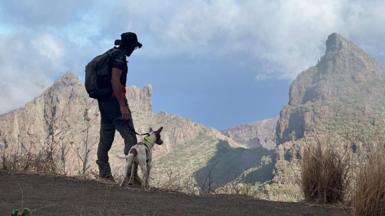 A man and a dog stand looking out over a vast ravine in Tenerife