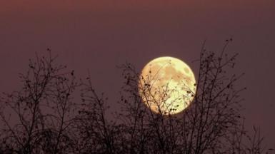 The nearly full Moon against a dark night sky