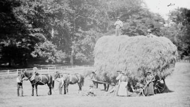 Hen lun du a gwyn o das gwair a cheffylau a throl