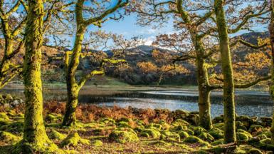 LLyn Cwm Bychan