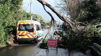 Fallen tree branch hangs over road. There's a red sign in front reading 'footpath closed' and an ambulance parked to one side of the road