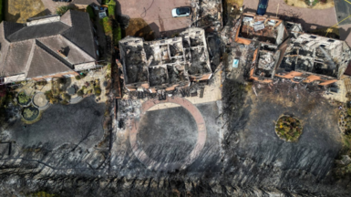 Burnt out homes near a railway line. Three gardens are a charred black mess with shell houses next to them