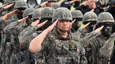 South Korean soldiers standing in neat rows, raising their hands in salute.