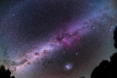 The picture shows a dark night sky filled with countless tiny stars, with no buildings or people visible. Across the middle runs a broad, diagonal band of the Milky Way, glowing in shades of pink, purple and white, mottled with darker dust lanes. At the bottom, silhouetted tree tops frame the scene, while a small, bright cloud of light near the centre bottom hints at a nearby galaxy or nebula.