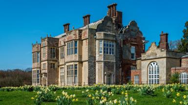 Felbrigg Hall, a multi-storey Jacobean-style stone, flint and brick built building with large mullioned windows and very tall chimneys. In front of it is grass covered in yellow daffodils and above it is a bright blue sky.
