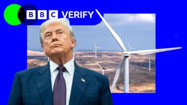 Composite image of Donald Trump against backdrop of wind turbines