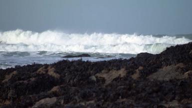 Waves crash upon rocks