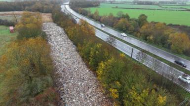 A stretch or rubbish dumped between two rows of trees next to a dual carriage way.