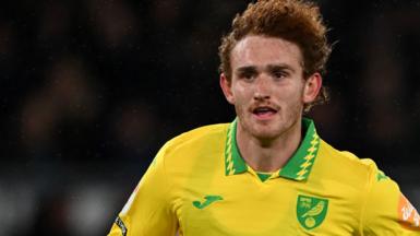 Josh Sargent in action for Norwich City