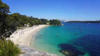 A zoomed out view of Shark Beach and surrounding blue waters. This is a popular recreation ground in Sydney Harbour National Park