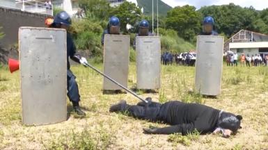 A man dressed in a bear costume is lying down after being subdued by police in an animal attack drill.