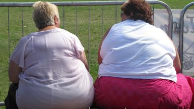 Two overweight women sit side by side in front of some grass. One on the right wears a white sleevless top and a deep pink skirt, one on the left wears a pale pink t-shirt and dark trousers. 