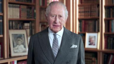 King Charles in a suit and tie with bookcases in the background