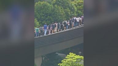 A line of people walk along a tall railway track above several tree tops.