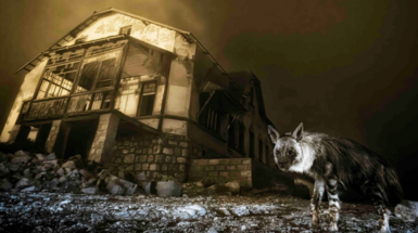 Brown hyena standing near the ruins of an abandoned diamond mining building in dusty light.