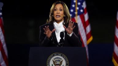 Kamala Harris speaks with her hands raised and American flags in the background. She is standing at an official vice presidential lectern and is wearing a white blouse under a dark suit
