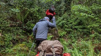 Two hikers carry large backpacks and use trekking poles while climbing a rugged, narrow trail through dense green forest.
The path is surrounded by thick foliage and ferns, with outdoor gear strapped to their packs as they ascend the hillside.