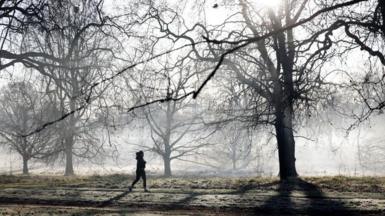 Image shows a person wearing a coat and walking through an icy and foggy park 