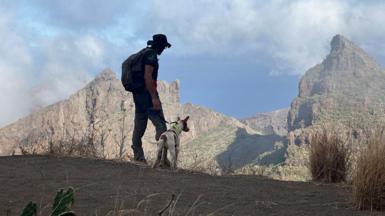 A man and a dog stand looking out over a vast ravine in Tenerife